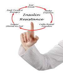 Insulin Resistance