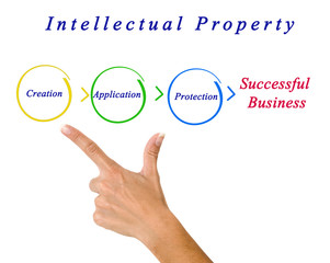 Intellectual property diagram