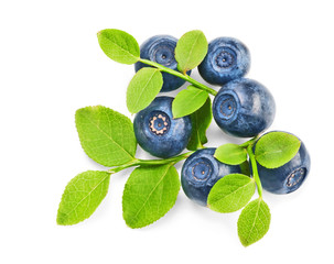 Fresh blueberries with green leaves
