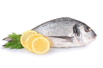 Fresh dorado fish with dill and lemon isolated on white