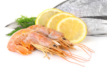 Fresh dorado fish with shrimps, dill and lemon isolated on white