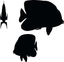 angelfish silhouette