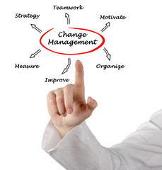 Change Management Strategy