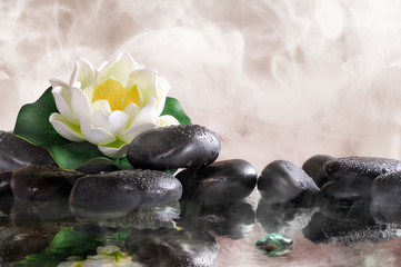 Water lily on black stones with water and vapour