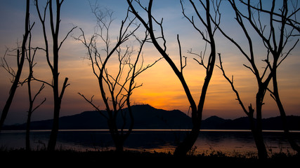Dried tree beside lake and mountain with sunset sky