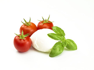 Mozarella mit Tomaten und Basilikum