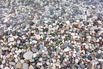 sea stones
