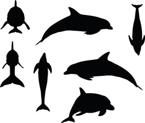 dolphin silhouette