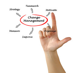 Change Management Strategy