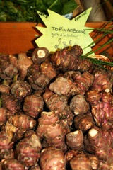Topinambour