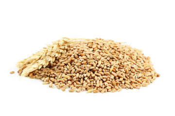 Ears of wheat and wheat grains isolated on white