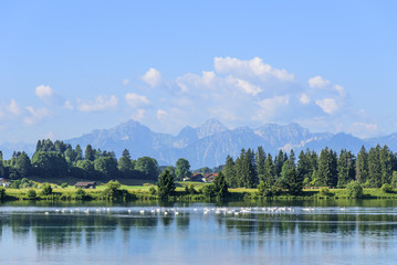 morgendliches Panorama im Ostallgäu