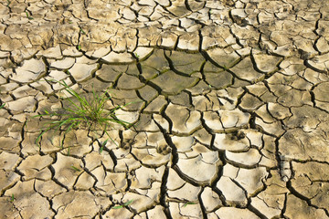 Infertile land burned by the sun