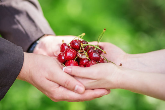 Hands of bride and groom holding a handful of cherries with wedd