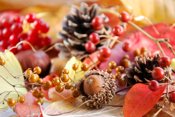 秋の実と葉 © Botamochy