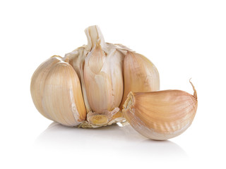 garlic on white background