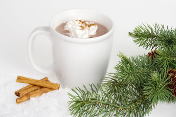 Cup of Hot Chocolate – A cup of hot chocolate. Cinnamon sticks and pine branches in foreground.