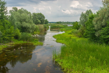 Fototapeta na wymiar Summer landscape with small river Kolomak, Poltavsk oblast, Ukraine