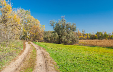 Fototapeta na wymiar Autumnal landscape in central Ukraine near Dnepropetrovsk city