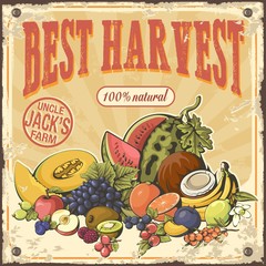 Harvest fruits and berries retro poster.