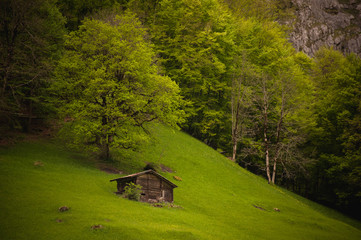 Old wooden hut near the mountain and forest