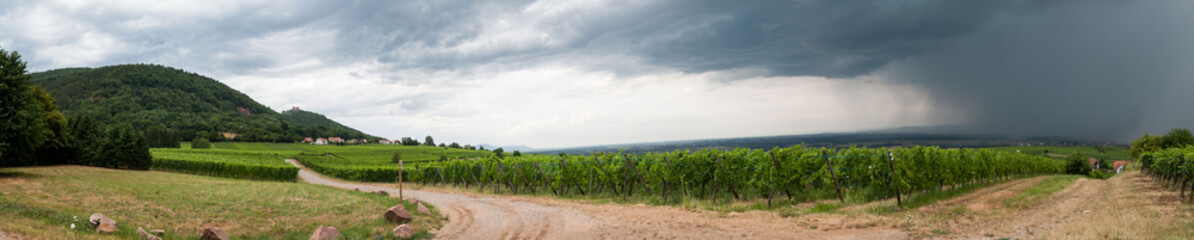 Fototapeta na wymiar Pluie d’orage sur la plaine d’Alsace, Vosges, France