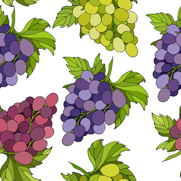 Ripe grapes pattern