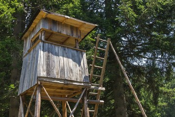 Ansitz, Hochstand, Hochsitz im Wald