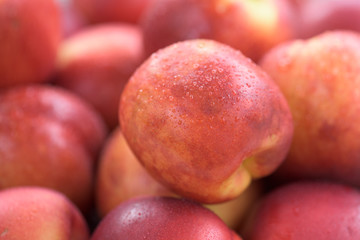 Fresh red apricots