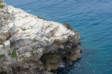 Rocky Coast and Sea