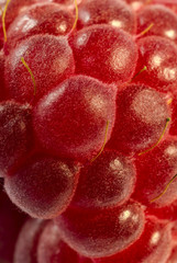 Ripe raspberries 