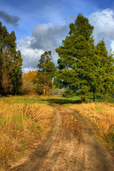 Winter landscape near Lima river in Viana do Castelo
