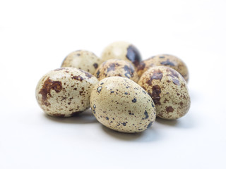 Obraz premium うずらの卵
