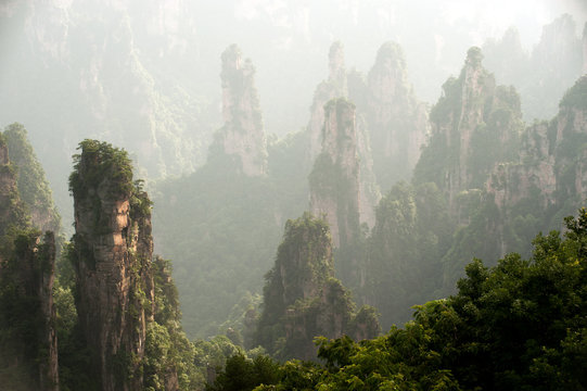 Fototapeta Mysterious mountains Zhangjiajie, HUnan Province in China.