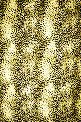 texture fabric of Jaguar for background