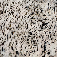 grains on old wood background texture