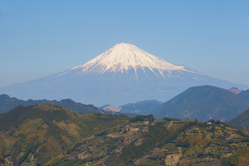 Obraz premium Góra Fuji w sezonie wiosennym w prefekturze Shizuoka