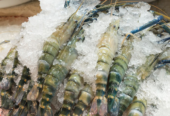 Fresh raw tiger shrimp on ice for preserve.