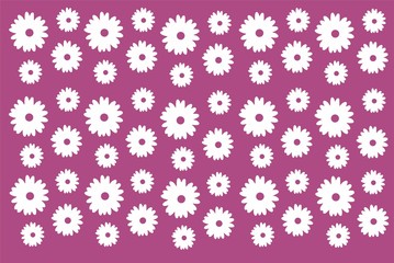 Białe kwiaty purpurowe tło - obrazy, fototapety, plakaty