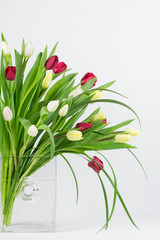 Fresh cut tulips of arious colors arranged in a glass vase