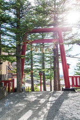 Fototapeta na wymiar Torri of temple in Fuji 5th Station