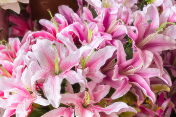 Colourful artificial flower made from plastic and fabric
