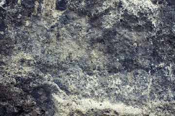 Grunge Coral Reef Texture