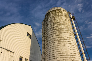 Grain Silo and Barn