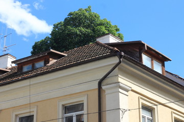 Building in the old town,fragment