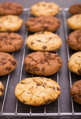 Fresh chocolate chip cookies on the cooling rack