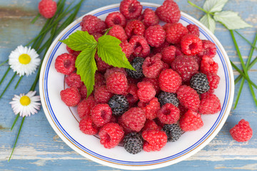 Red and black raspberry on plate