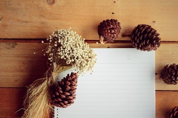 Diary book with pine cones on wood background.