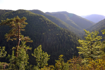 Hills and forest in national park Slovensky raj, Slovakia