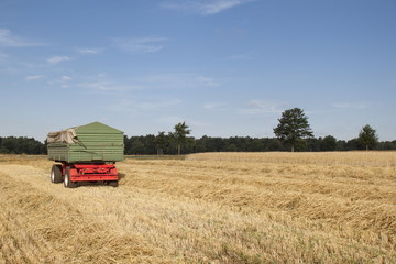 Fototapeta premium Erntezeit